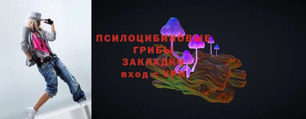 PSILOCYBIN Осташков